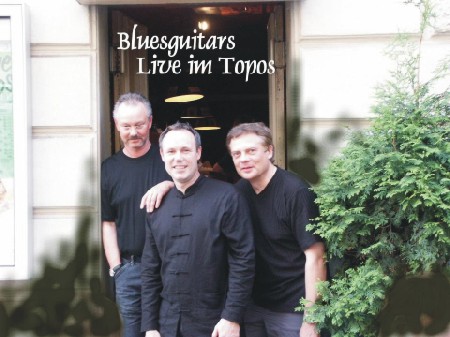 The Bluesguitars