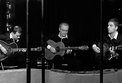 Trio Balkan Strings