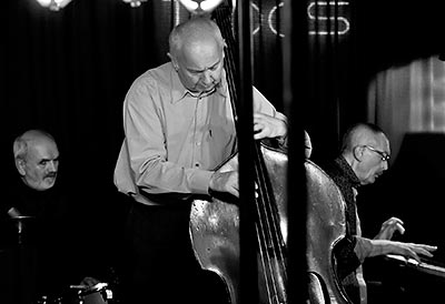 Emil Viklický Trio