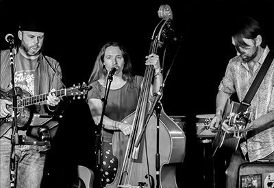 Jenny Wren and Her Borrowed Wings